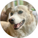 Jacqiera profielfoto